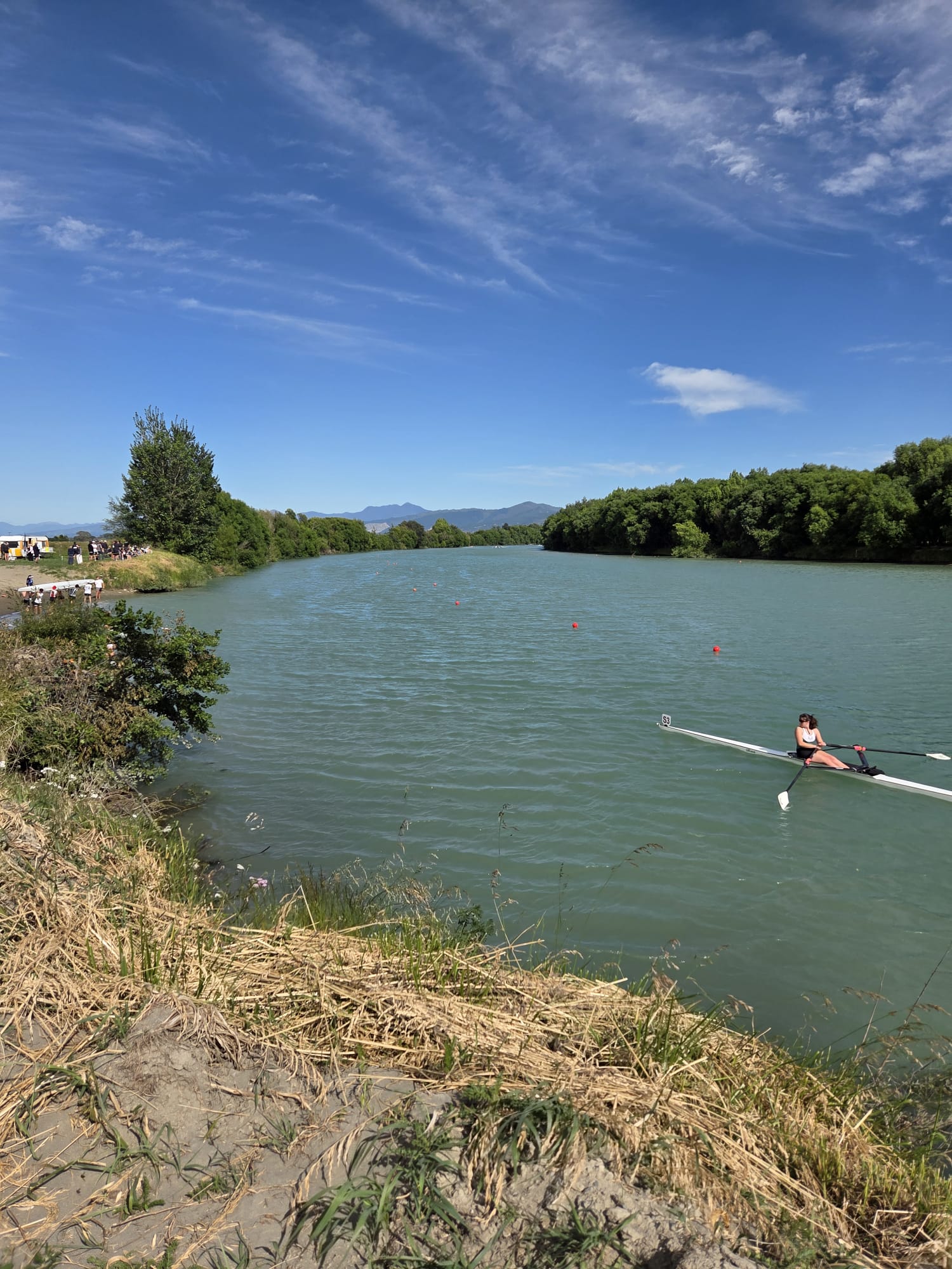 Meine erste Ruderregatta: Marlborough Champs